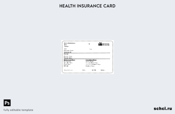 скачать в цифровом формате шаблон карты медицинского страхования Molina HealthCa